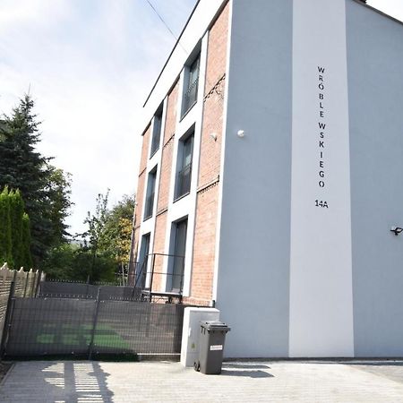 Katowice Chorzow Park Stadion Slaski Apartmenty เชียเมโนวิเซ สลอสเก ภายนอก รูปภาพ
